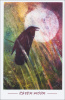 5 Pack of Headwaters Fine Art Cards 5.5" x 8.5" with envelopes - Raven Moon